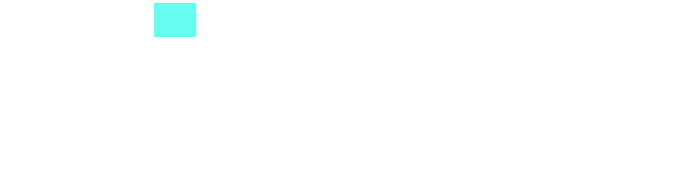 new-logo-pirus.png